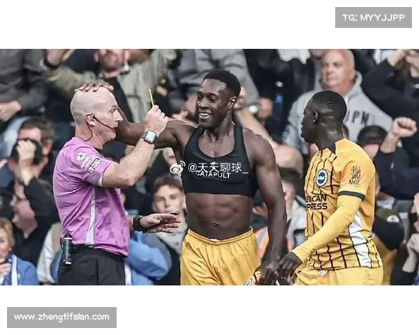 全面解读维尔贝克黑贝称号背后象征意义与球迷情感共鸣与球队期待